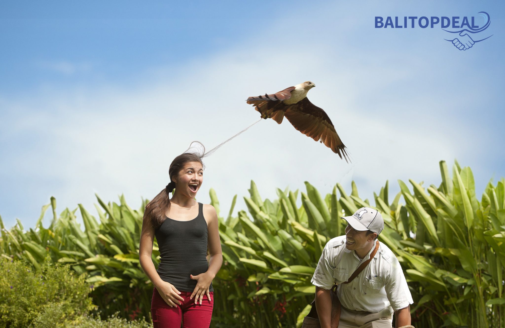 Liburan Seru Bersama Keluarga Di Bali Bird Park Gianyar 2